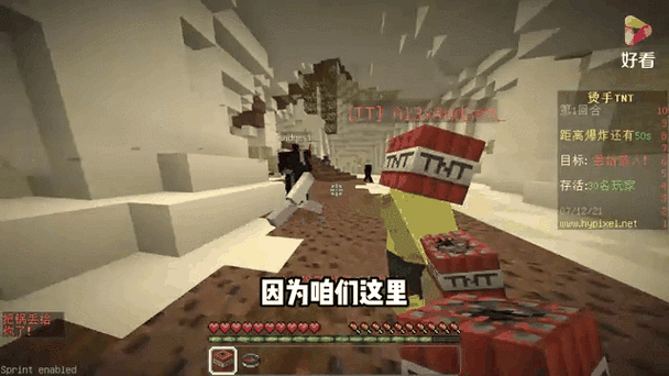 暴躁老外玩 Minecraft 进出无限制：独特游戏体验之旅